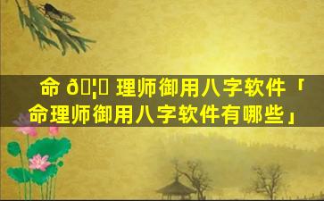 命 🦁 理师御用八字软件「命理师御用八字软件有哪些」